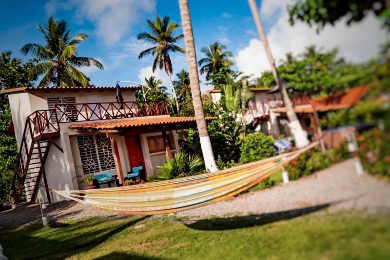 21 Palms Hotel Las Galeras Exterior photo