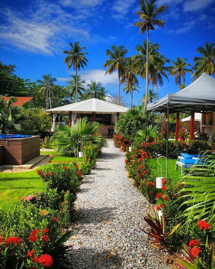 21 Palms Hotel Las Galeras Exterior photo